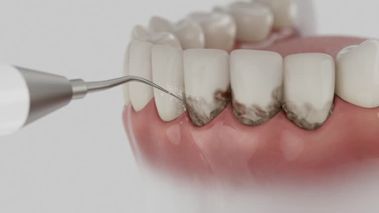 Reliable Dental contractor in Thompsonville, PA by Dentist Open Now